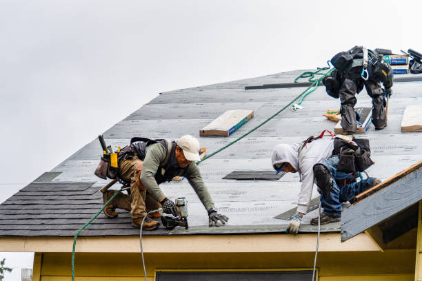 Professional Roofing technician working in Marne, IA
